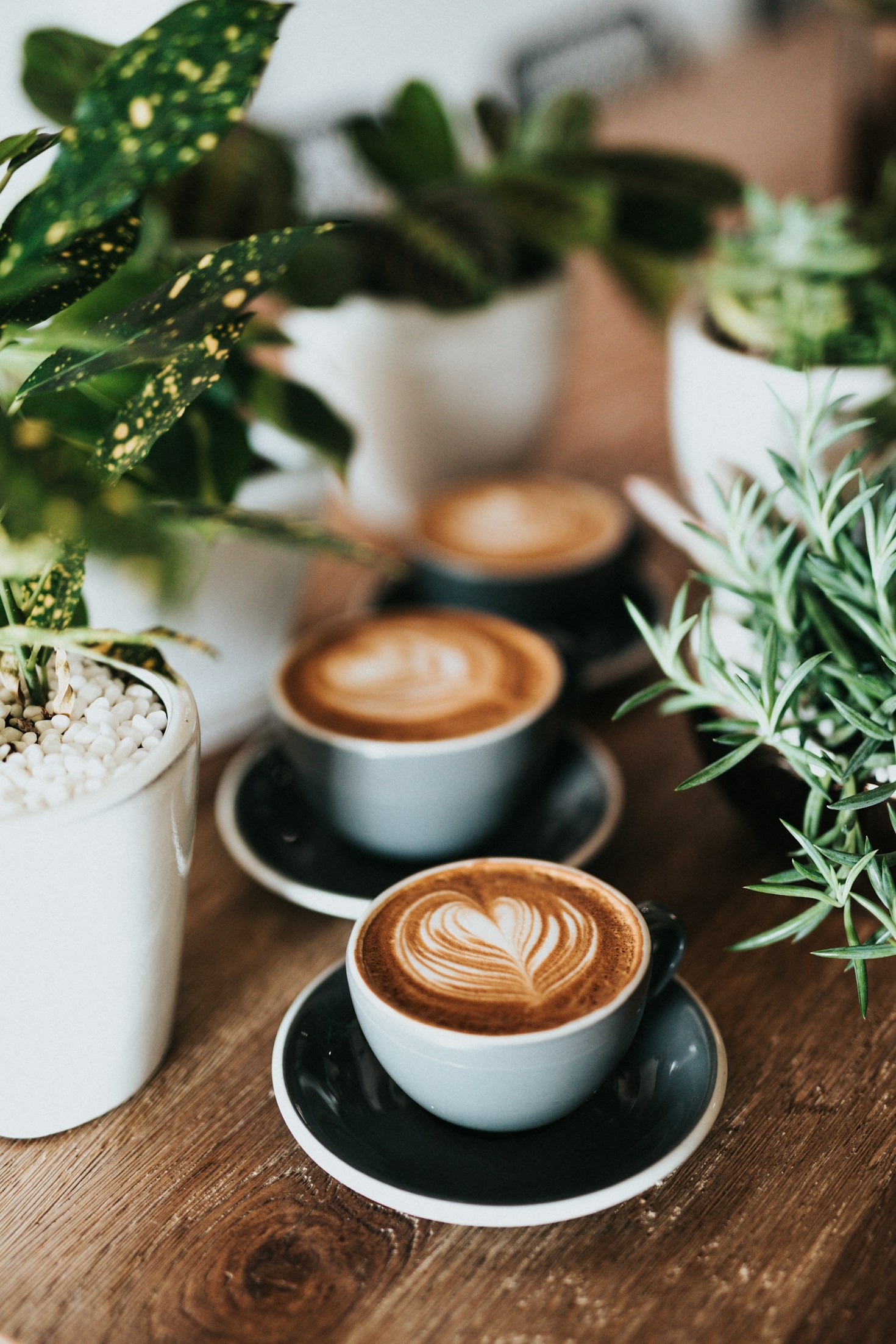 Como harmonizar café com sobremesas