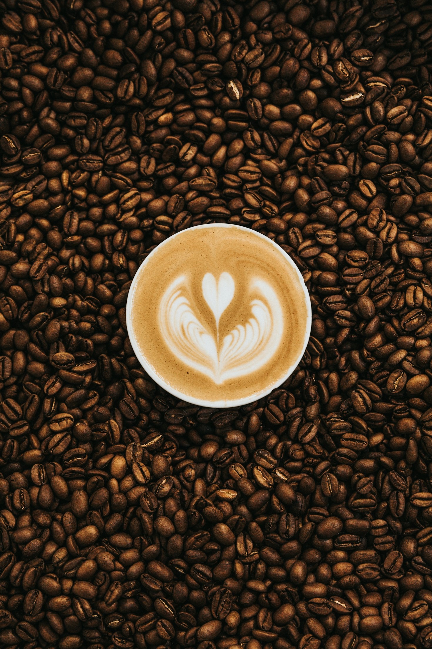 Técnicas para um cappuccino perfeito em casa
